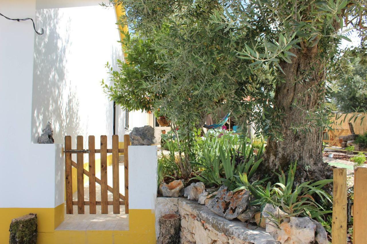 Turismo Rural Casa Da Ceu Amiais de Cima Exterior foto